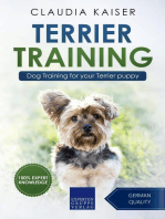 Terrier Training - Dog Training for your Terrier puppy: Terrier Training, #1