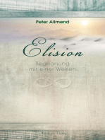 Elision - Begegnung mit einer Weisen