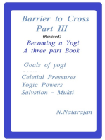 Barriers To Cross. Becoming A Yogi: Part III