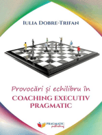 Provocari si echilibru in Coaching Executiv Pragmatic