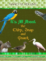 It's All About the Chirp, Snap, and Quack