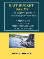 Bait Bucket Basics: Frugal Angler Series