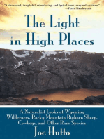 The Light In High Places