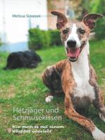 Hetzjäger und Schmusekissen: Wie man es mit einem Whippet überlebt