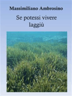 Se potessi vivere laggiù