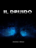 Il druido