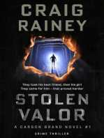 Stolen Valor - A Carson Brand Novel