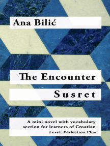 The Encounter / Susret - A Croatian Mini Novel With Vocabulary Section (C1 / Advanced High): Croatian made easy