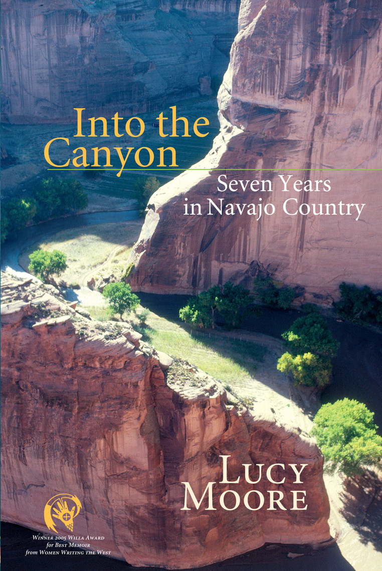 Into the Canyon by Lucy Moore