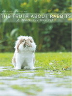 The Truth About Rabbits: A Misunderstood Pet