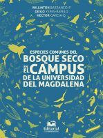 Especies comunes del bosque seco en el campus de la Universidad del Magdalena