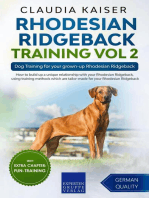 Rhodesian Ridgeback Training Vol 2 – Dog Training for your grown-up Rhodesian Ridgeback