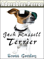 Adorables Perros: los Jack Russell Terrier: Adorables Perros