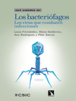Los bacteriófagos: Los virus que combaten infecciones