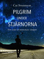 Pilgrim under stjärnorna: Fem essäer om människans värdighet