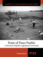 Point of Pines Pueblo: A Mountain Mogollon Aggregated Community