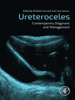 Ureteroceles: Contemporary Diagnosis and Management