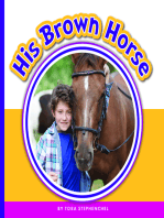 His Brown Horse