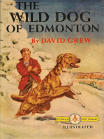 The Wild Dog of Edmonton