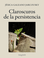 Claroscuros de la persistencia