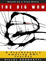 The Big Wow: A Psychonaut's Amazing DMT Journey