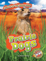 Prairie Dogs