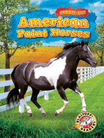 American Paint Horses