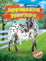 Appaloosa Horses