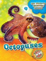 Octopuses