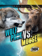 Wolf Pack vs. Moose