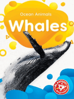 Whales