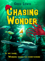 Chasing Wonder