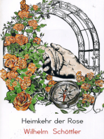 Heimkehr der Rose