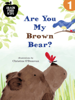 Are You My Brown Bear?