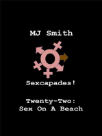Sexcapades! Twenty-Two