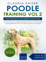 Poodle Training Vol 2 – Dog Training for Your Grown-up Poodle