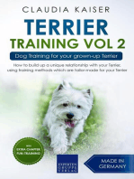 Terrier Training Vol 2 – Dog Training for Your Grown-up Terrier: Terrier Training, #2