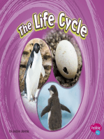 The Life Cycle