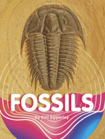 Fossils