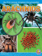 Arachnids