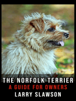 The Norfolk Terrier