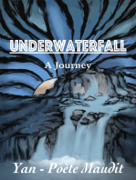 Underwaterfall: A Journey