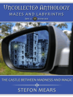 The Castle Between Madness and Magic
