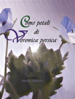 Come petali di Veronica persica