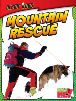 Mountain Rescue