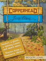 Copperhead Junction