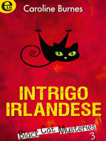 Intrigo irlandese