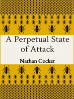 A Perpetual State of Attack