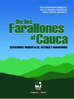 De los Farallones al Cauca: Situaciones ambientales, actores e imaginarios