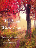 Wandering Where I Am
